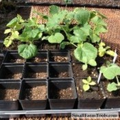 Pots & Carrying Trays